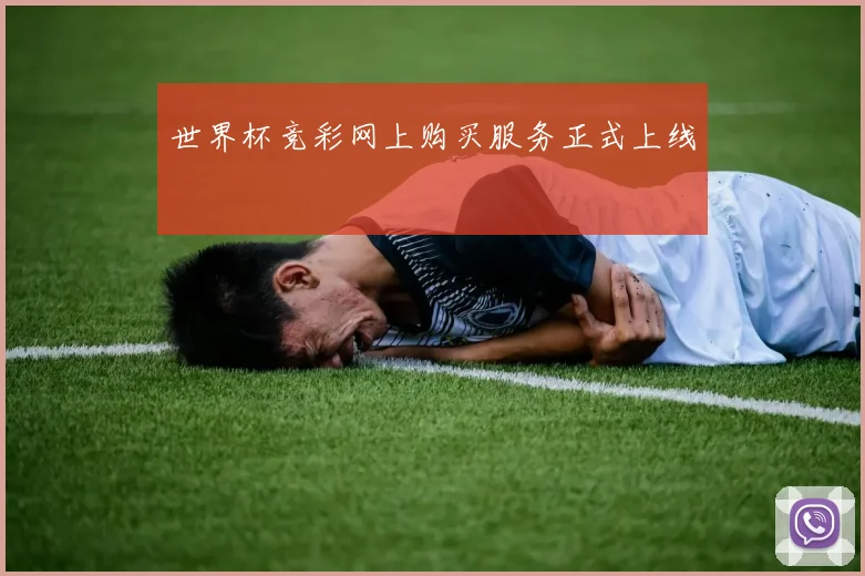 世界杯竞彩网上购买服务正式上线