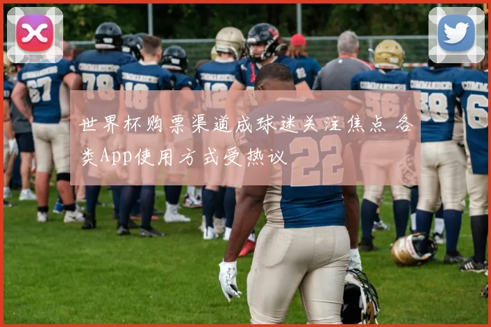 世界杯购票渠道成球迷关注焦点 各类App使用方式受热议