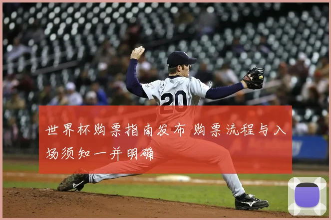 世界杯购票指南发布 购票流程与入场须知一并明确